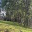  Terreno (Parcela) en venta en Llanquihue, Los Lagos, Puerto Varas, Llanquihue