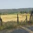  Terreno (Parcela) en venta en Maule, Curico, Curicó, Maule