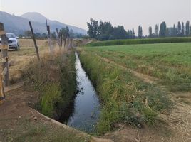  Terreno (Parcela) en venta en Maule, Curico, Curicó, Maule