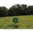  Land for sale in La Ceja, Antioquia, La Ceja, Antioquia