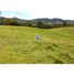  Land for sale in La Ceja, Antioquia, La Ceja, Antioquia