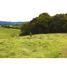  Land for sale in La Ceja, Antioquia, La Ceja, Antioquia