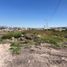  Terreno (Parcela) en venta en Corregidora, Querétaro, Corregidora
