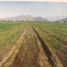  Land for sale in Chacabuco, Santiago, Lampa, Chacabuco