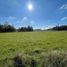  Terreno (Parcela) en venta en Chile, Lanco, Valdivia, Los Ríos, Chile