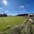  Terreno (Parcela) en venta en Chile, Lanco, Valdivia, Los Ríos, Chile