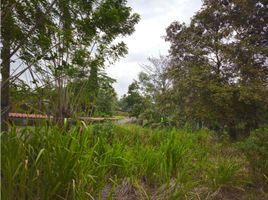 Studio Villa zu verkaufen in Capira, Panama Oeste, Villa Carmen, Capira