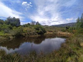  Terreno (Parcela) en venta en Santa Sofia, Boyaca, Santa Sofia