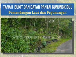  Land for sale in Tepus, Gunung Kidul, Tepus