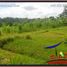  Land for sale in Ubud, Gianyar, Ubud