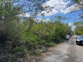  Terreno (Parcela) en venta en Merida, Yucatán, Merida, Yucatán