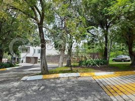 Terrain à vendre à Naucalpan De Juarez, Mexico, Naucalpan De Juarez