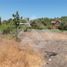  Land for sale in Chile, Santiago, Santiago, Santiago, Chile