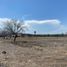  Land for sale in Linares, Nuevo Leon, Linares