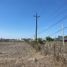  Land for sale in Linares, Nuevo Leon, Linares