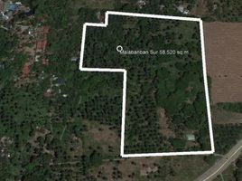  Land for sale in Candelaria, Quezon, Candelaria