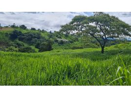 Estudio Villa en venta en Bugaba, Chiriquí, Volcán, Bugaba