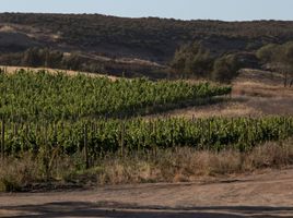  Grundstück zu verkaufen in Ensenada, Baja California, Ensenada