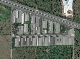  Terreno (Parcela) en venta en Motul, Yucatán, Motul