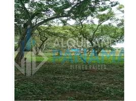  Land for sale in Herrera, San Juan Bautista, Chitre, Herrera