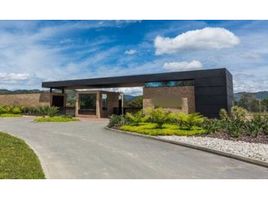  Land for sale in Rionegro, Antioquia, Rionegro