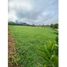  Land for sale in Rionegro, Antioquia, Rionegro
