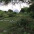 5 Bedroom House for sale in Jimenez, Tamaulipas, Jimenez, Tamaulipas
