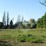  토지을(를) Villa Alegre, 리나 레스에서 판매합니다., Villa Alegre