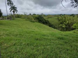  Land for sale in Pereira, Risaralda, Pereira