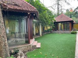 6 Schlafzimmer Villa zu vermieten in Tay Ho, Hanoi, Phu Thuong, Tay Ho