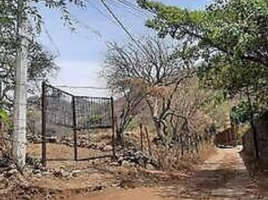  Terreno (Parcela) en venta en Tepoztlan, Morelos, Tepoztlan