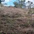  Land for sale in Dagua, Valle Del Cauca, Dagua