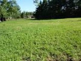  Land for sale in Colon, Entre Rios, Colon