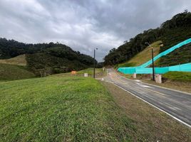  Terreno (Parcela) en venta en Abejorral, Antioquia, Abejorral