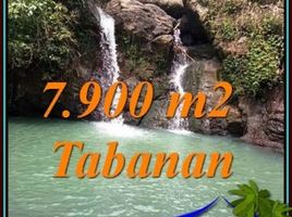  Tanah for sale in Selemadeg, Tabanan, Selemadeg