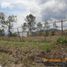  Terreno (Parcela) en venta en Tarimbaro, Michoacán, Tarimbaro