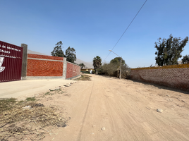  Terreno (Parcela) en venta en Lambayeque, Chiclayo, Chiclayo, Lambayeque