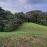  Land for sale in Pereira, Risaralda, Pereira