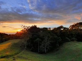  Land for sale in Pereira, Risaralda, Pereira