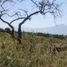  Grundstück zu verkaufen in Ixtlahuacan De Los Membrillos, Jalisco, Ixtlahuacan De Los Membrillos