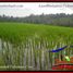  Land for sale in Selemadeg, Tabanan, Selemadeg