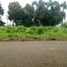  Land for sale in Bogor, West Jawa, Bogor Barat, Bogor