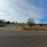  Land for sale in Guerrero Chihuahua, Guerrero
