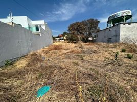  Grundstück zu verkaufen in Huitzilac, Morelos, Huitzilac