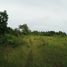  Land for sale in Dauis, Bohol, Dauis