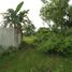  Land for sale in Dauis, Bohol, Dauis