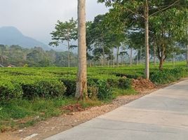  Terrain for sale in Cilember Waterfall, Cisarua, Cisarua