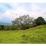  Land for sale in Tamesis, Antioquia, Tamesis