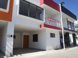 在Coatepec, Veracruz出售的4 卧室 别墅, Coatepec