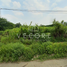  Land for sale in Atzacan, Veracruz, Atzacan